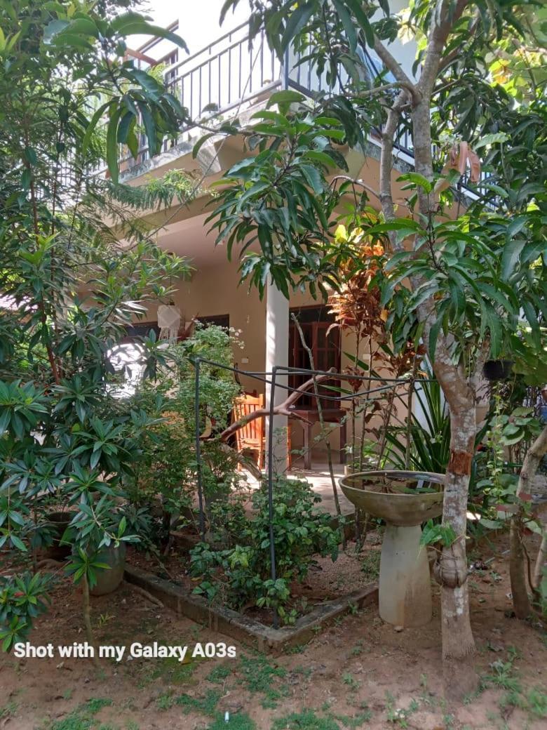 Bamboo Grove Villa Tangalle Extérieur photo